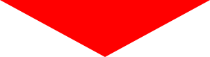 Bild1
