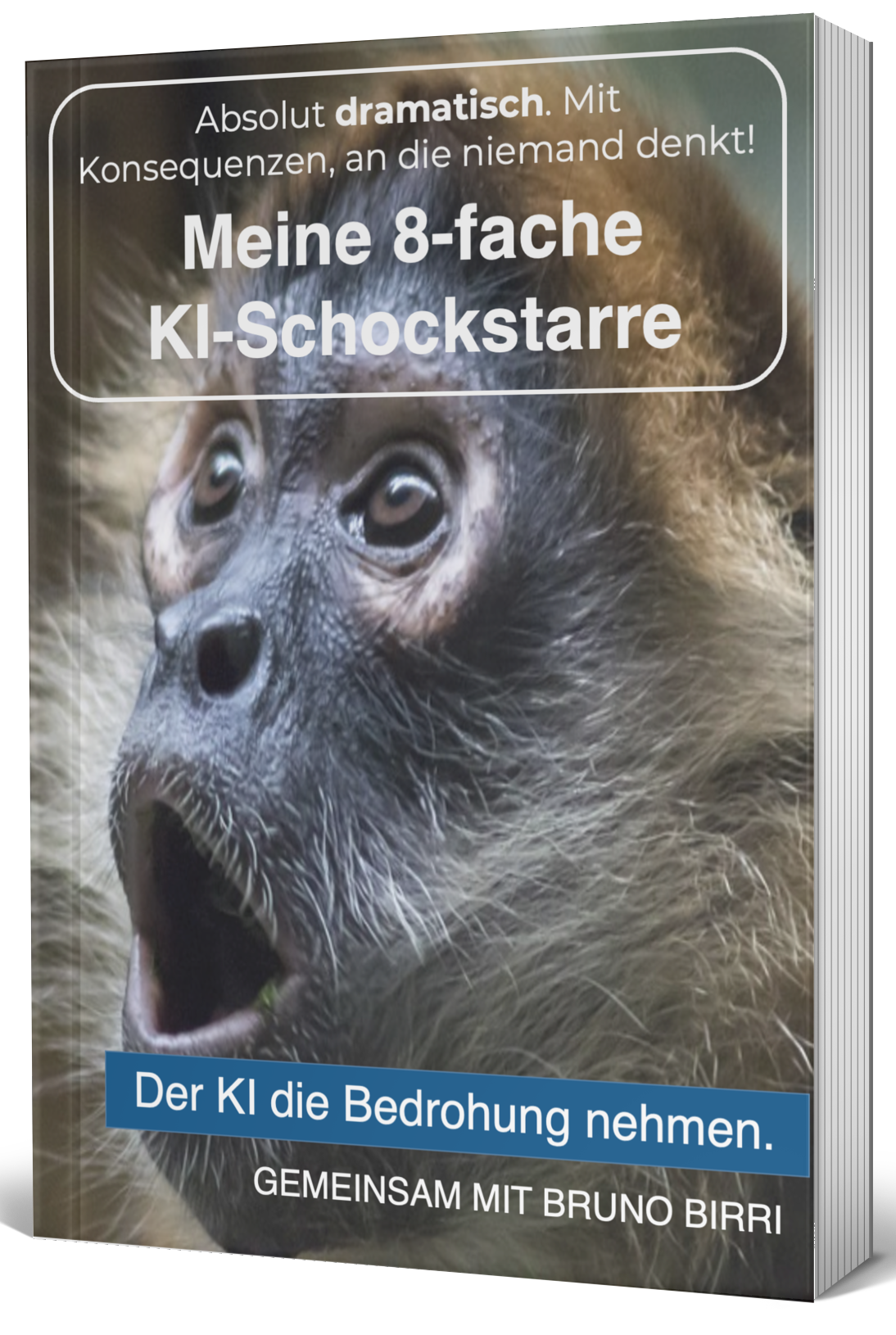 Abdeckung-2